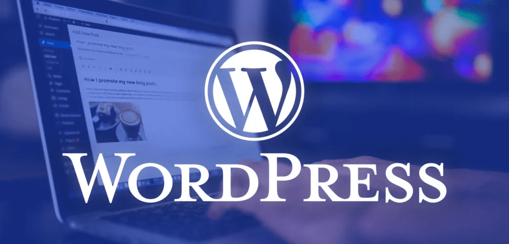 WordPress Wonders